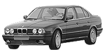 BMW E34 C273C Fault Code